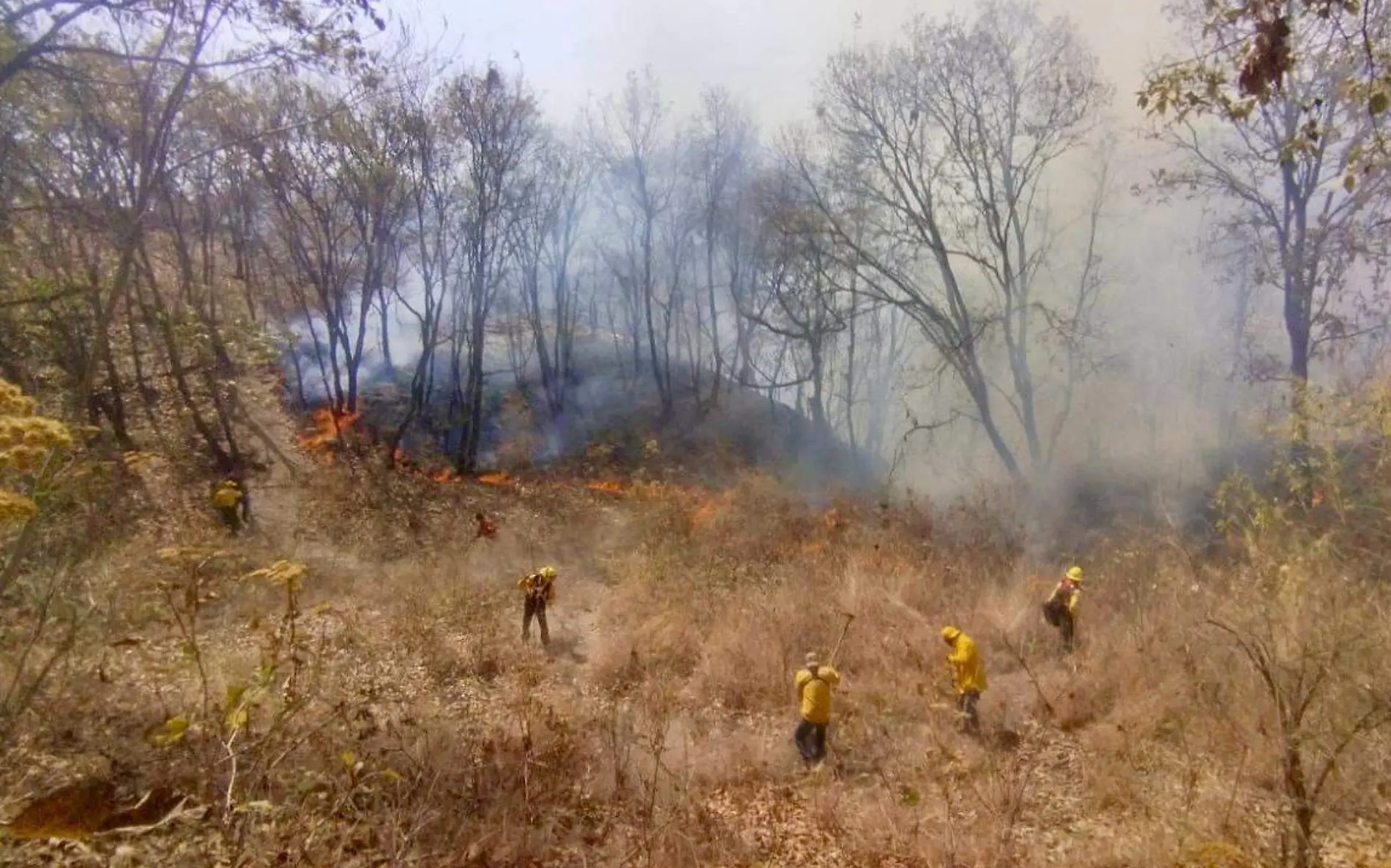 incendio paraje la Pera